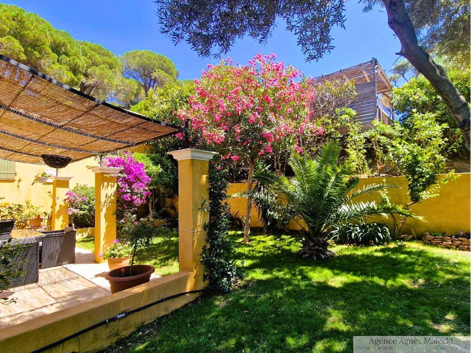 Image_14, Propriete, Le Lavandou, ref :VPR40007610