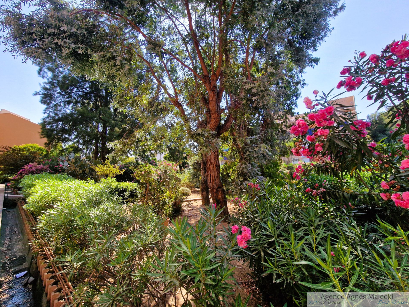 Image_8, Appartement, Cavalaire-sur-Mer, ref :VAP40007633