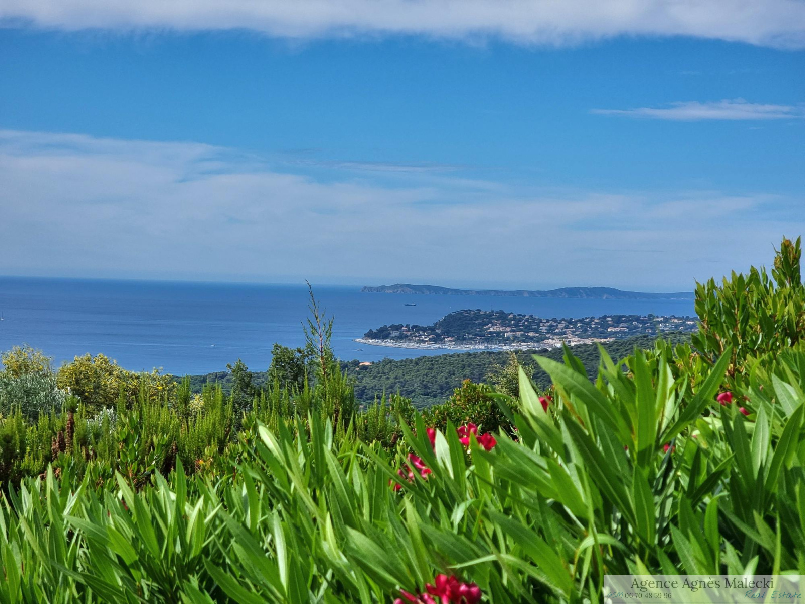 Image_1, Villa, La Croix-Valmer, ref :V110007180