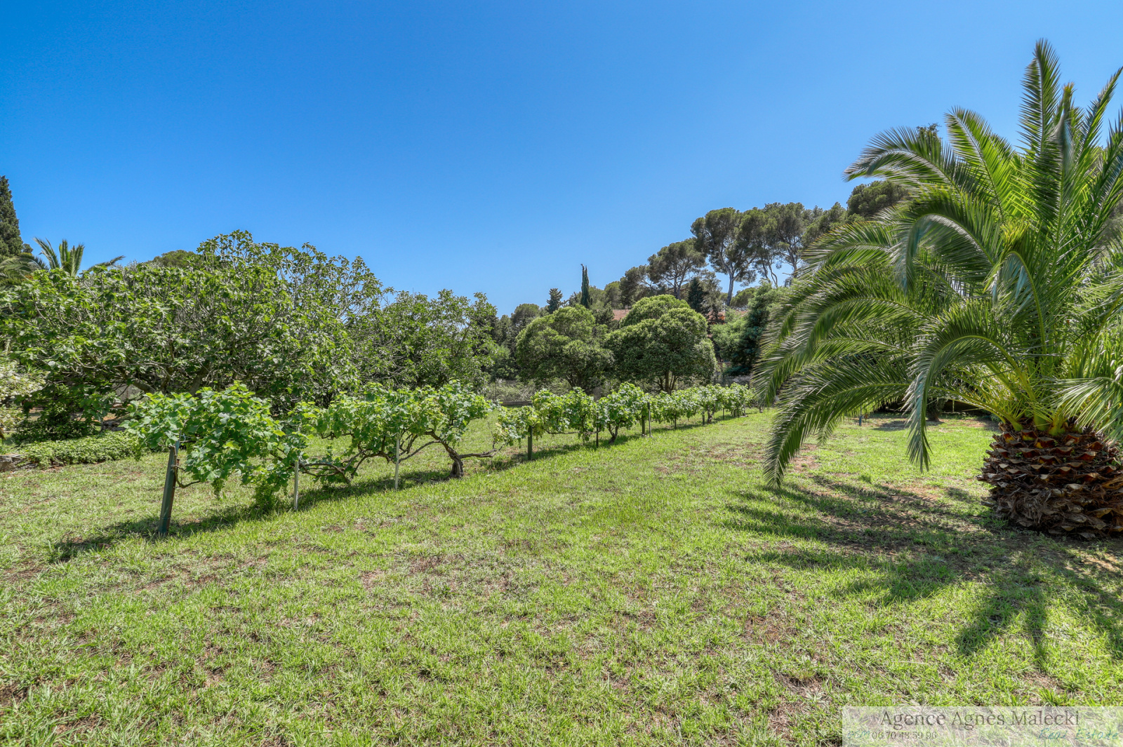 Image_2, Propriete, La Croix-Valmer, ref :V110007185