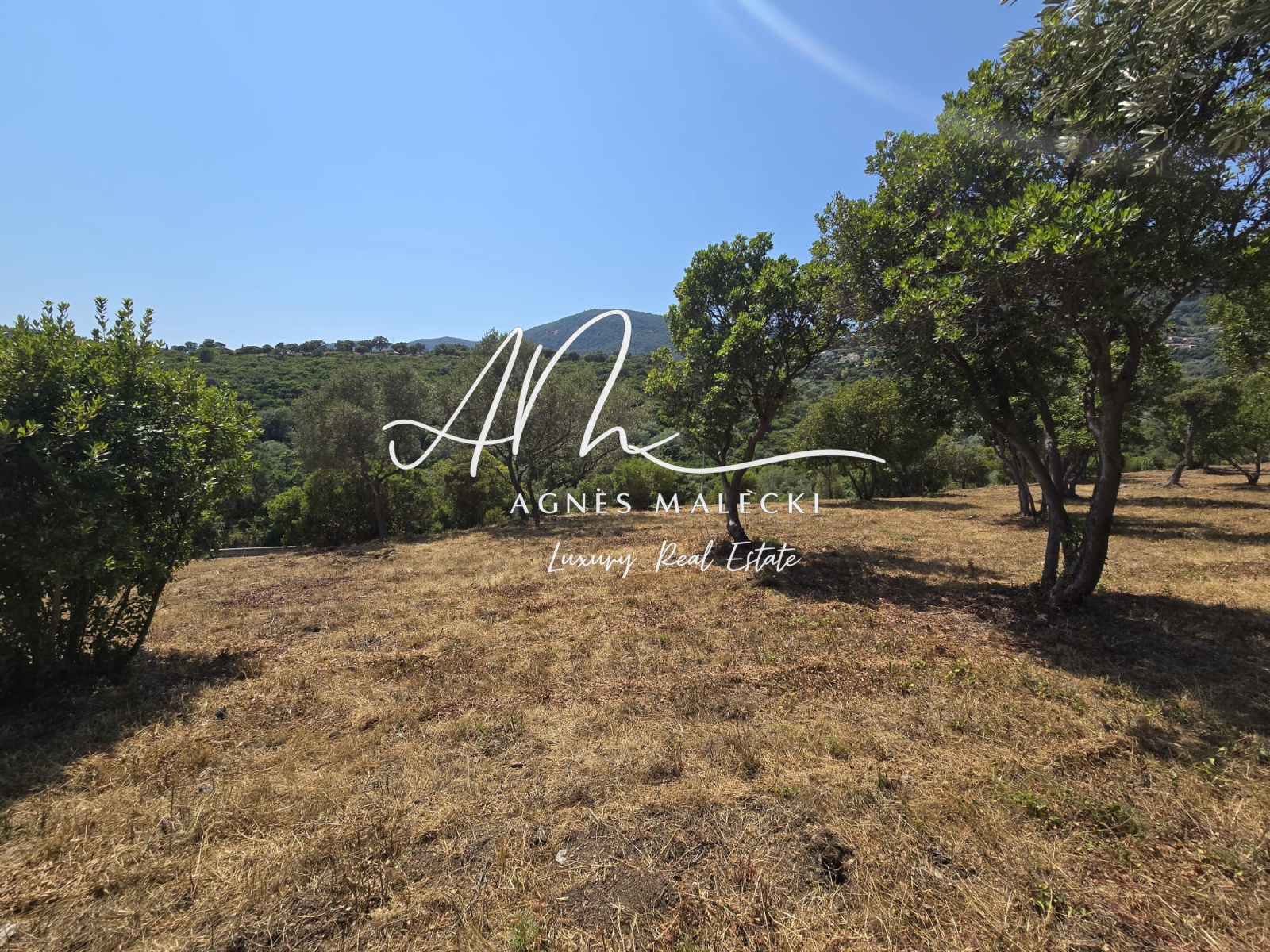Image_4, Terrain, Cavalaire-sur-Mer, ref :V10008734