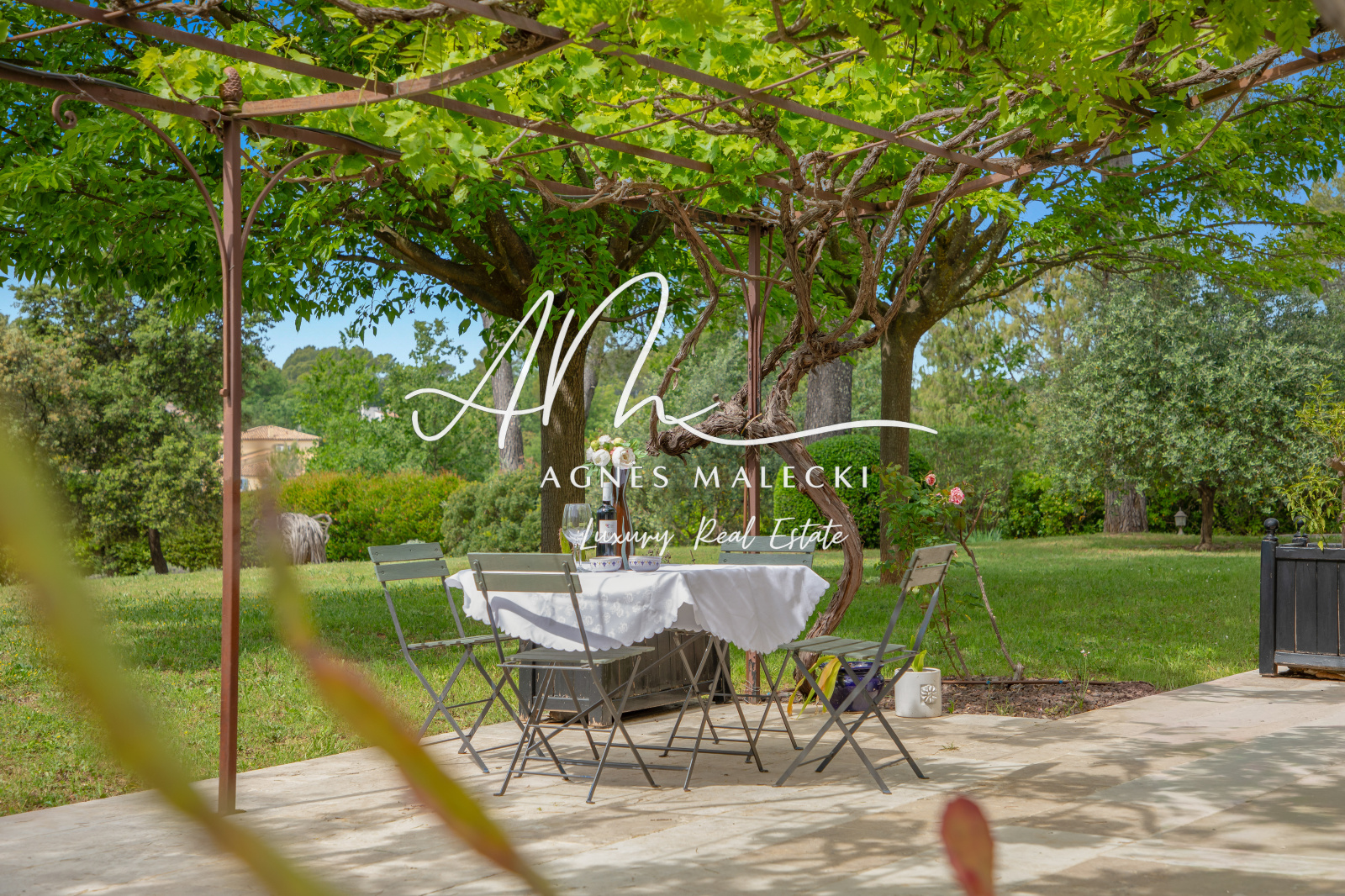 Image_6, Propriete, Trans-en-Provence, ref :V10008694