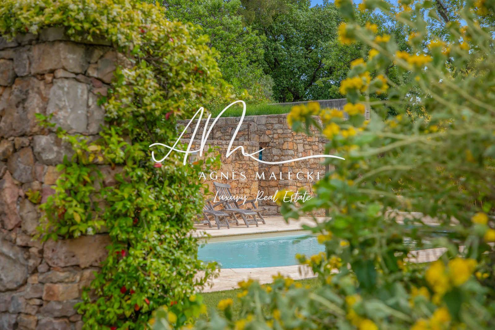 Image_14, Propriete, Trans-en-Provence, ref :V10008694
