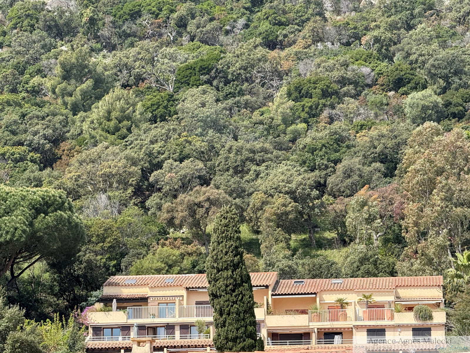 Image_5, Villa, Le Lavandou, ref :V10007522