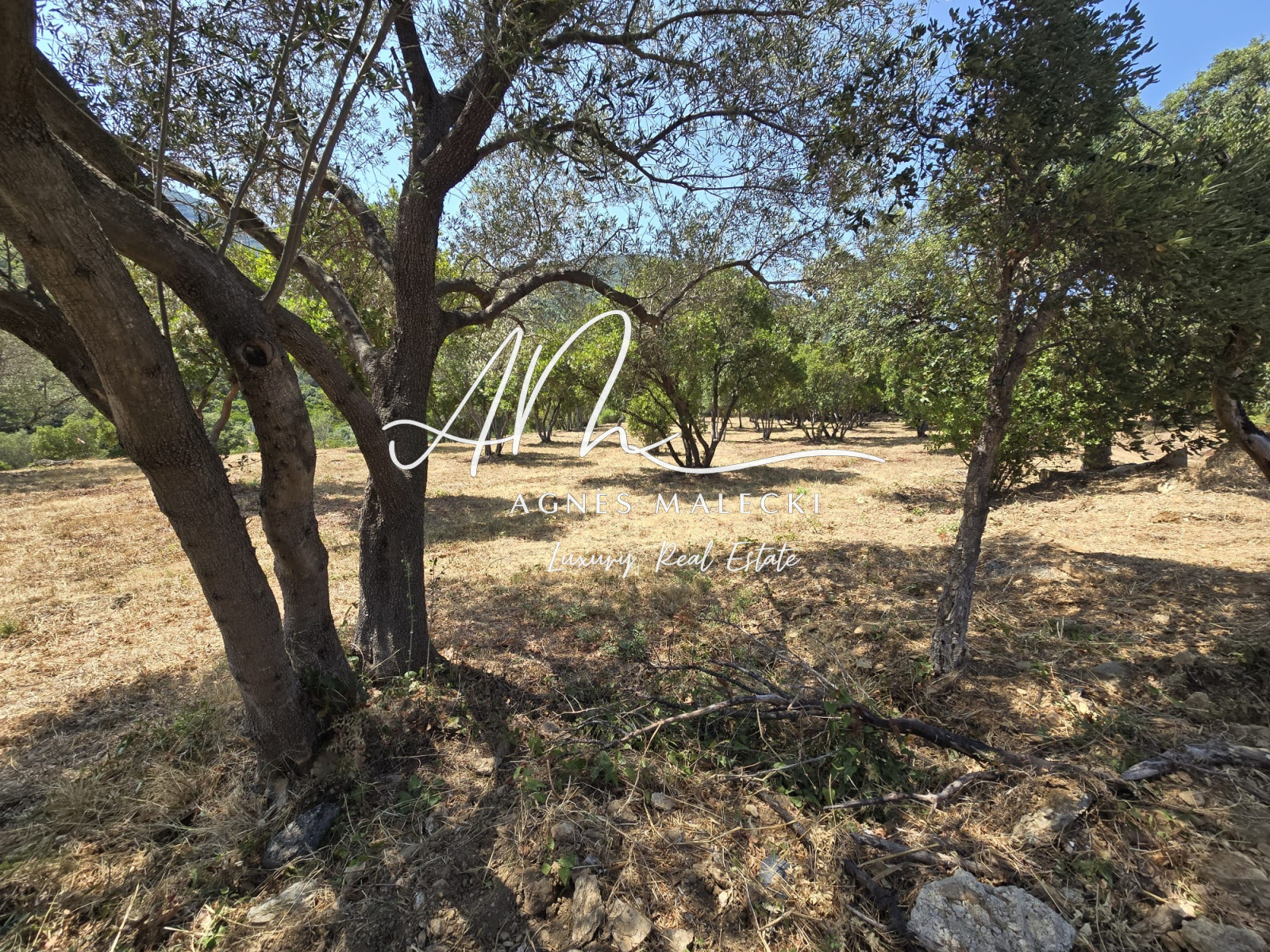 Image_3, Terrain, Cavalaire-sur-Mer, ref :V10008733