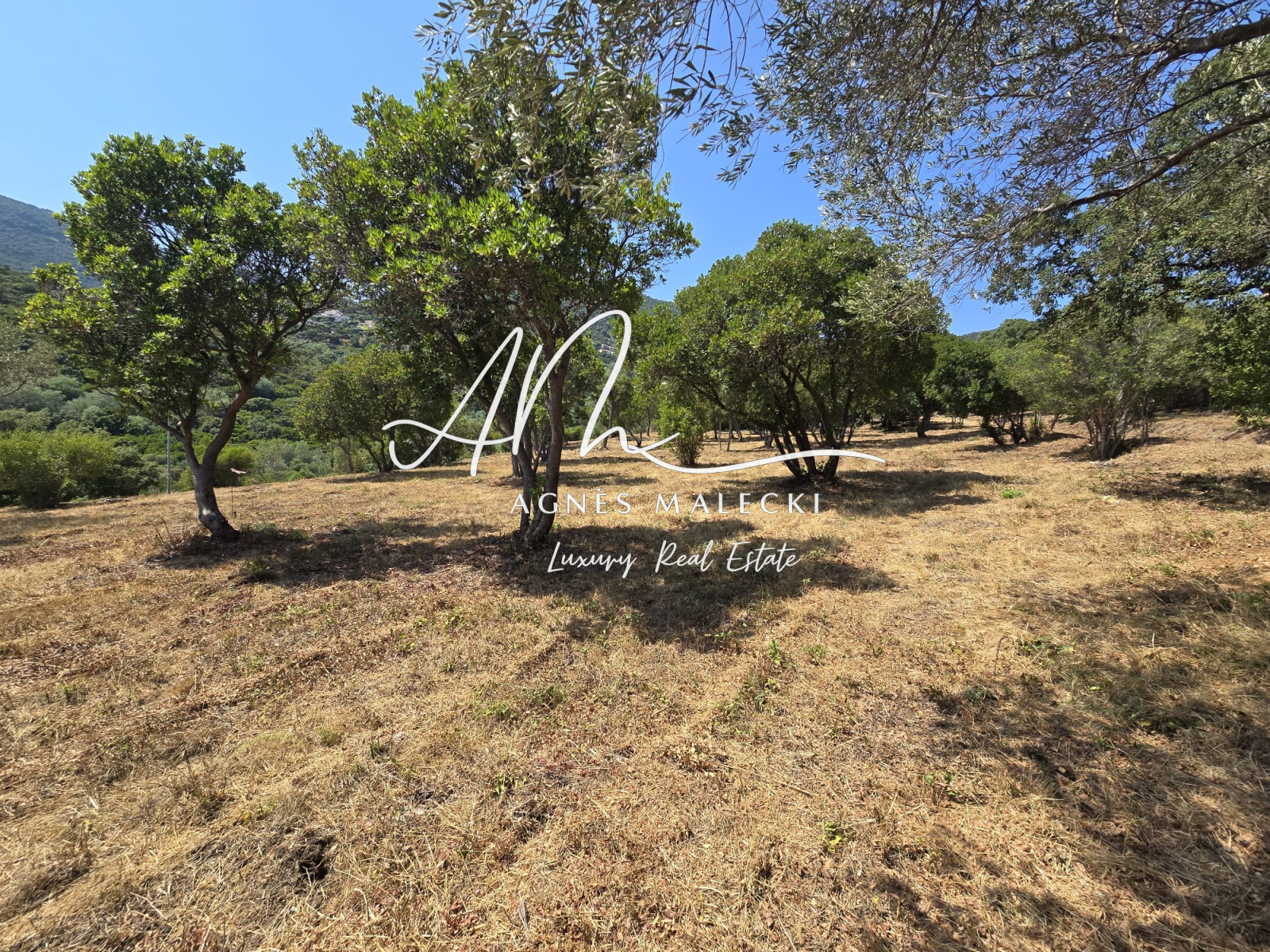 Image_4, Terrain, Cavalaire-sur-Mer, ref :V10008733