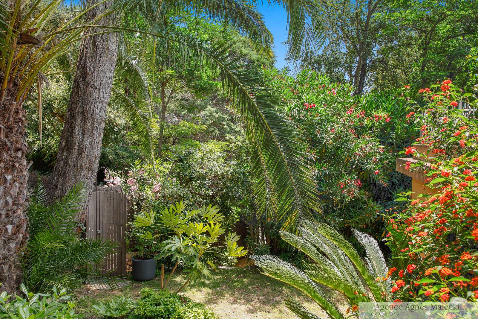 Image_15, Propriete, Rayol-Canadel-sur-Mer, ref :V10007468