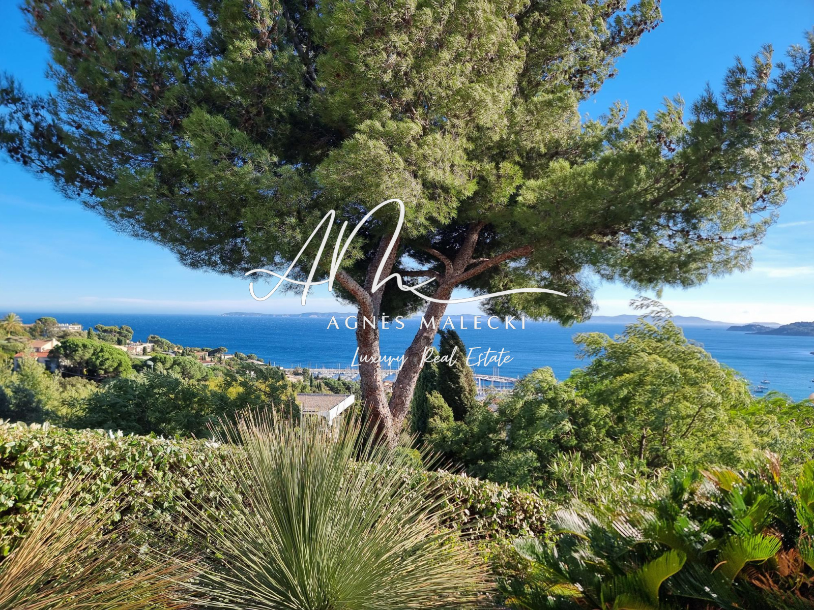 Image_5, Propriete, Le Lavandou, ref :V10007693