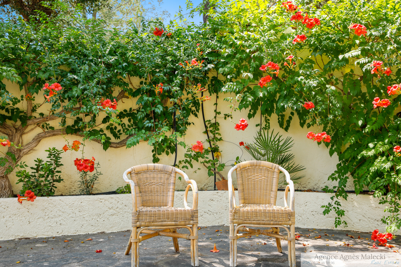 Image_12, Propriete, Bormes-les-Mimosas, ref :V10007595