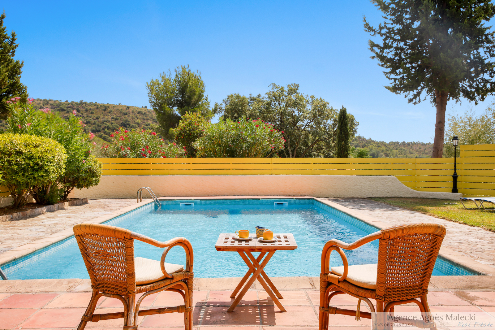 Image_11, Propriete, Bormes-les-Mimosas, ref :V10007595