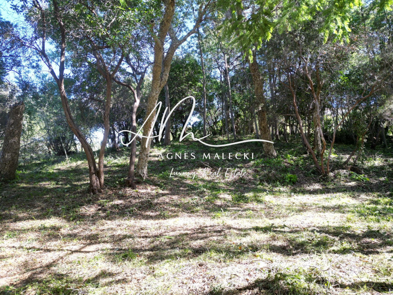 Image_3, Terrain, Rayol-Canadel-sur-Mer, ref :V10008278