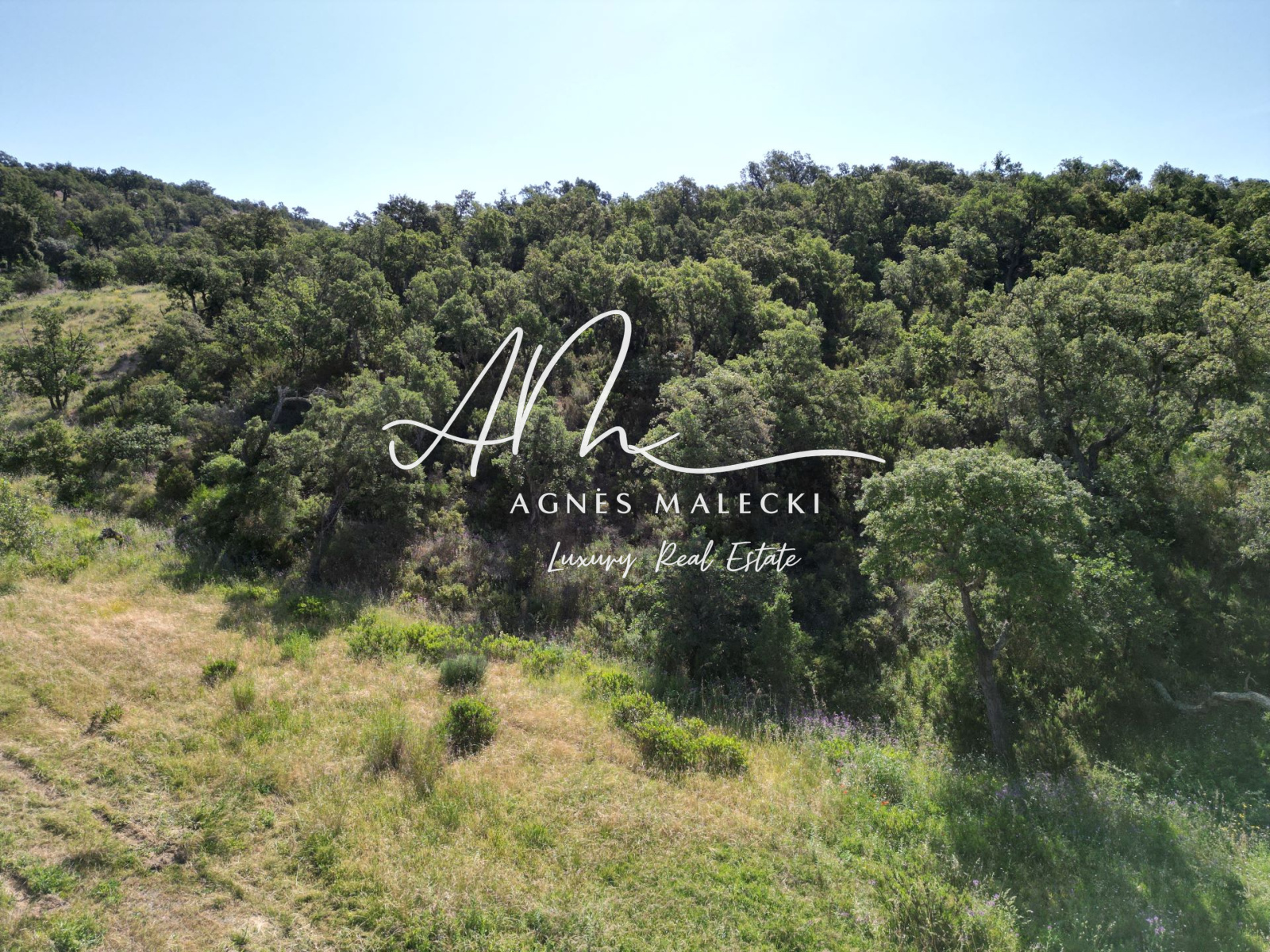 Image_3, Terrain, Grimaud, ref :V10008932