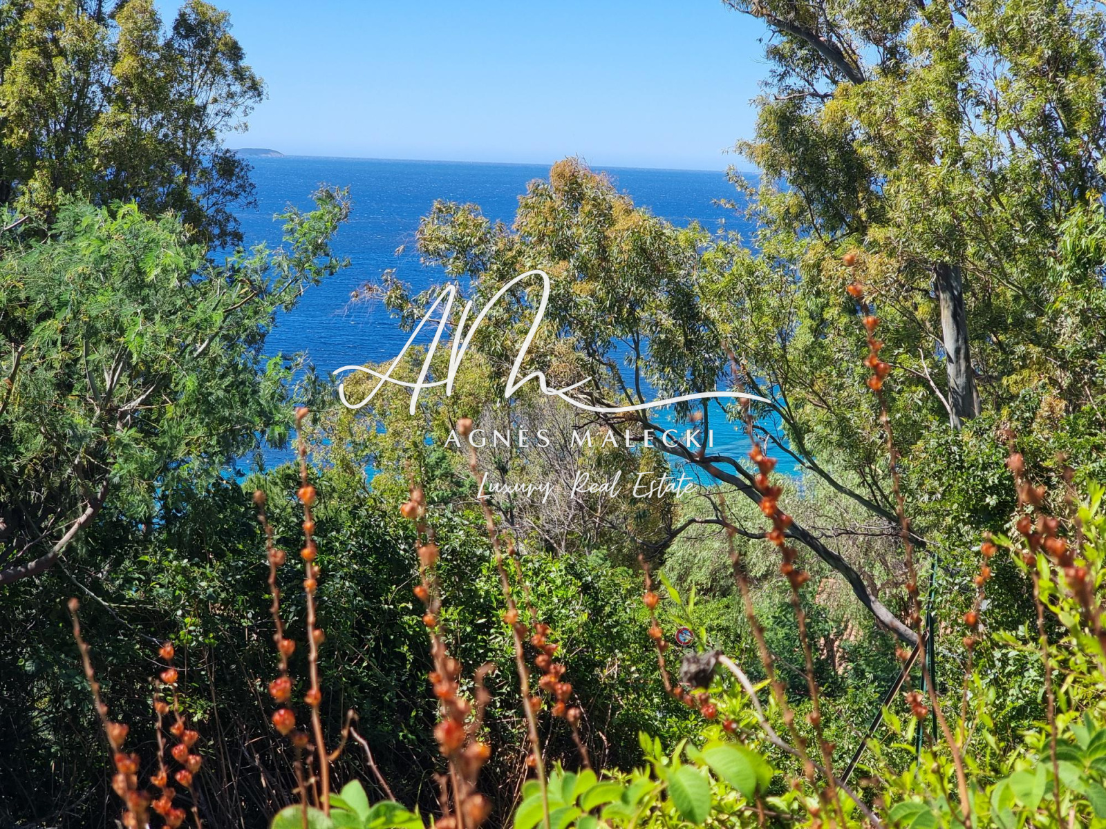 Image_5, Villa, Rayol-Canadel-sur-Mer, ref :V10008398