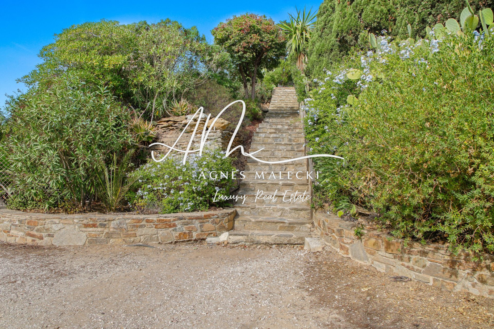 Image_6, Villa, Hyères, ref :VVI40008053