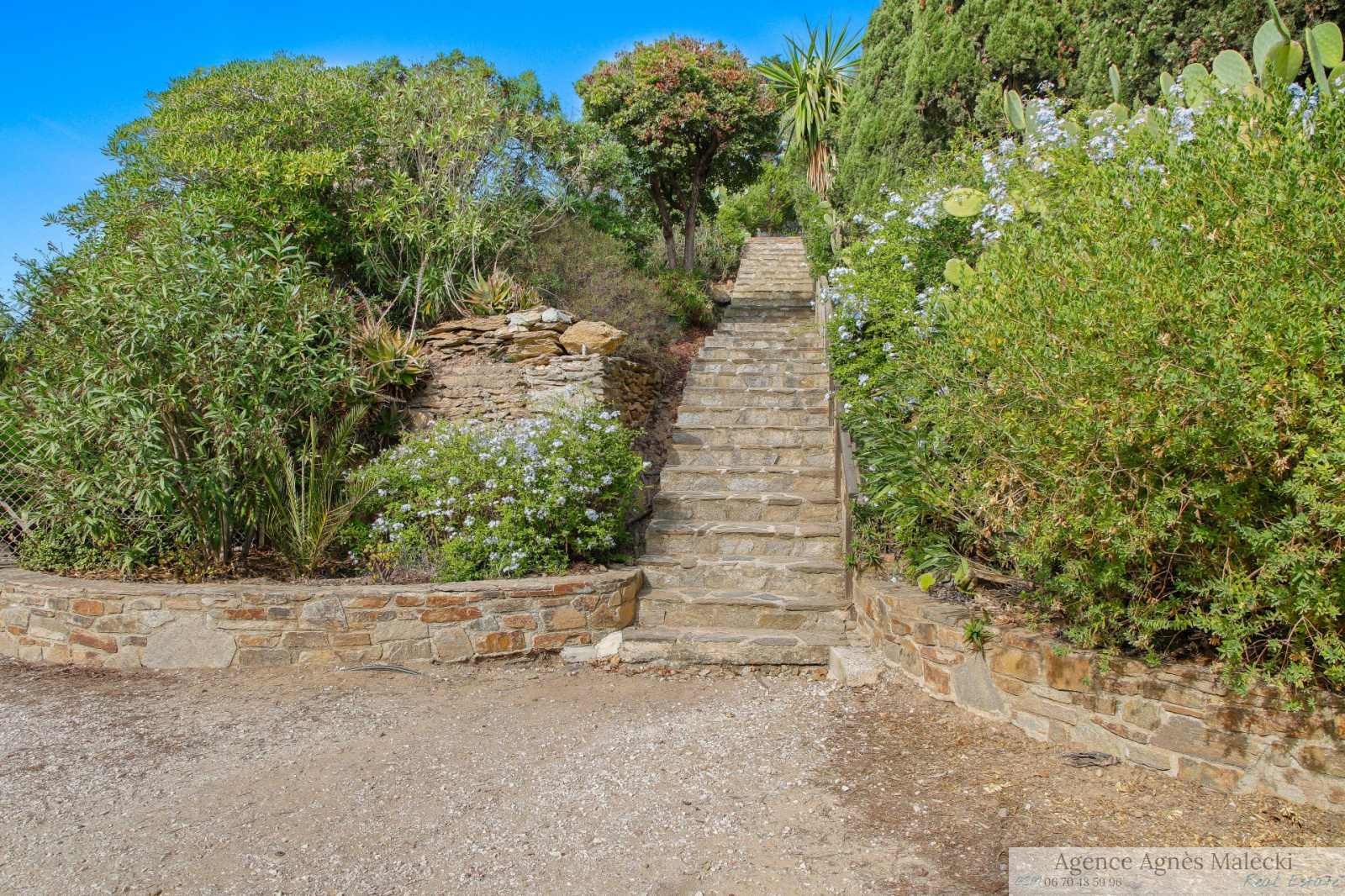 Image_10, Villa, Hyères, ref :VVI40007924