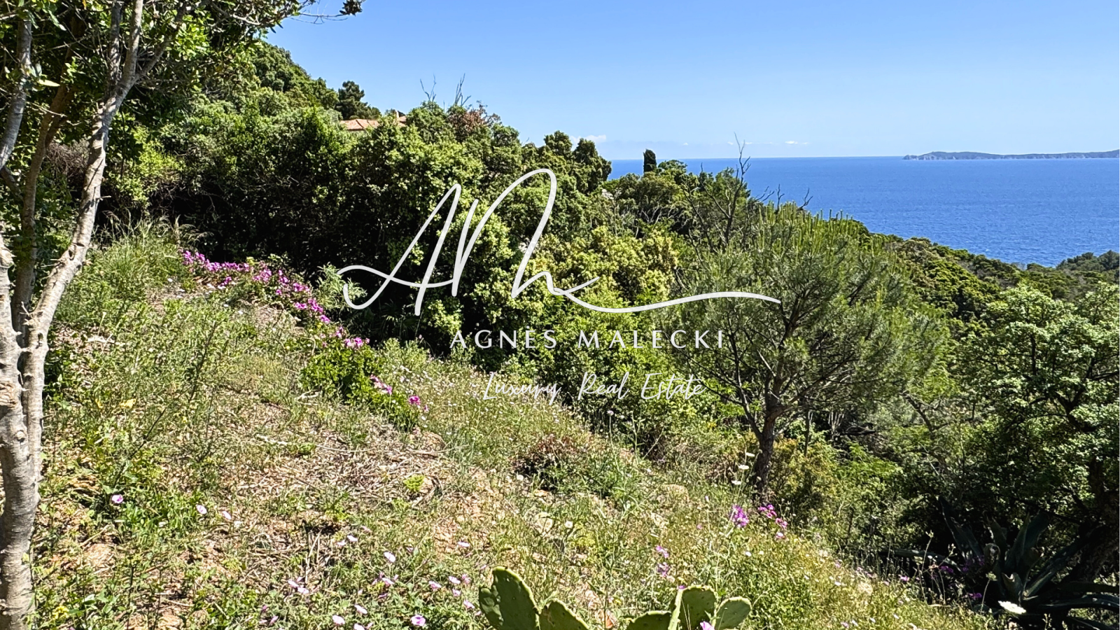 Image_3, Terrain, Rayol-Canadel-sur-Mer, ref :VTE40008038