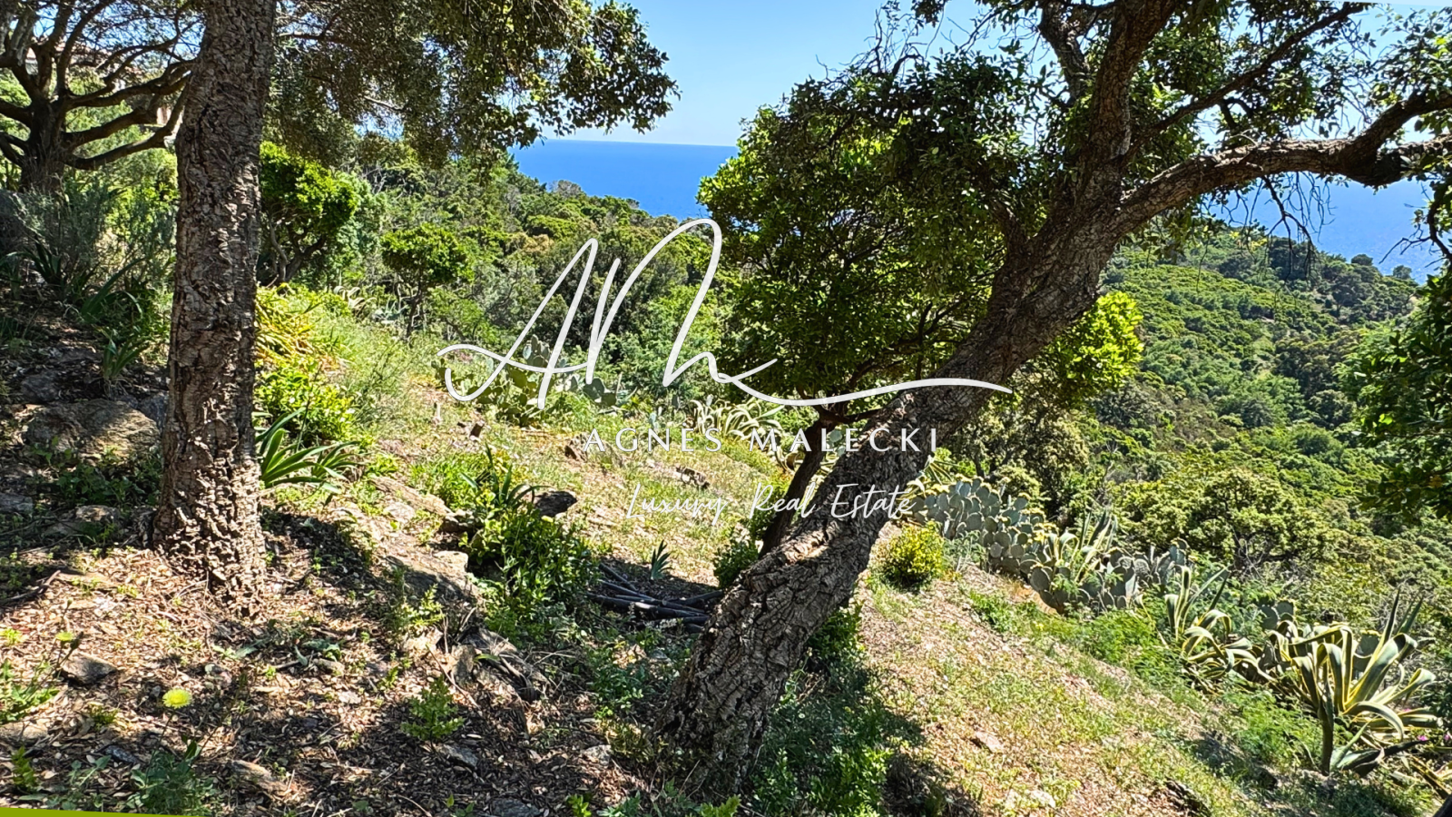 Image_6, Terrain, Rayol-Canadel-sur-Mer, ref :VTE40008038