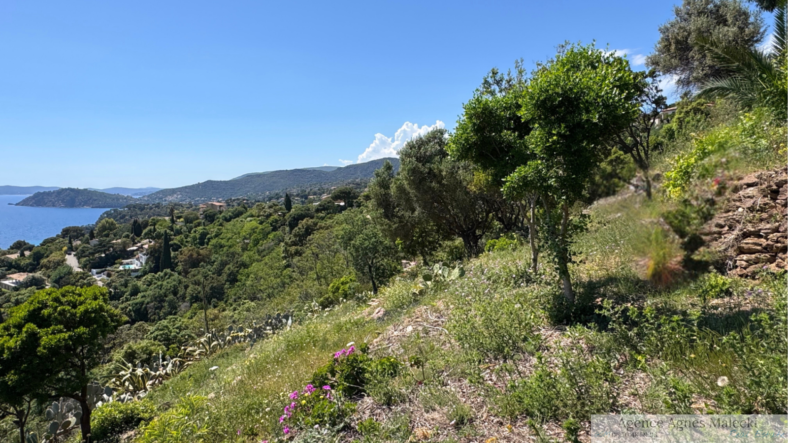 Image_4, Terrain, Rayol-Canadel-sur-Mer, ref :VTE40007639