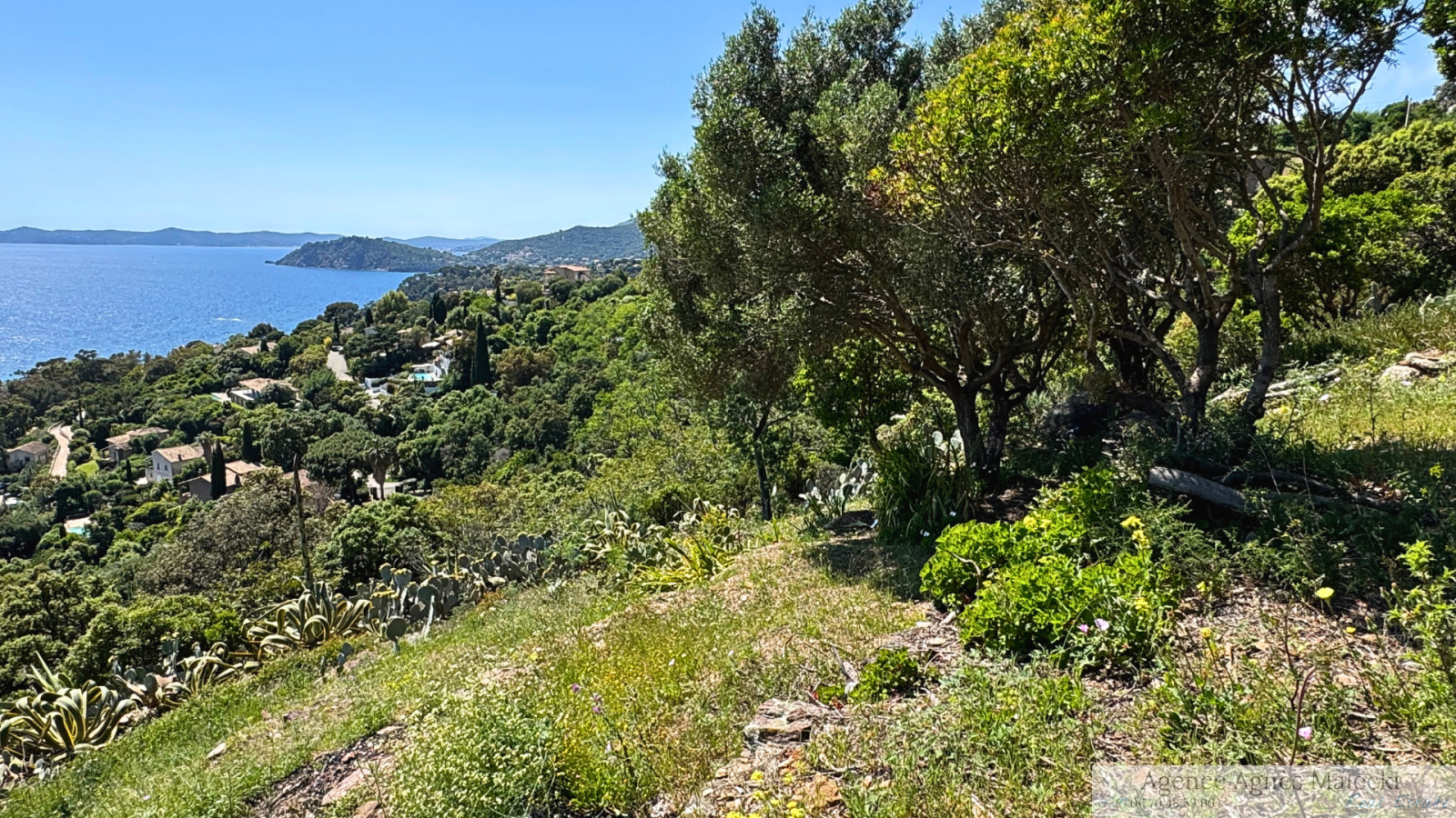 Image_5, Terrain, Rayol-Canadel-sur-Mer, ref :VTE40007928