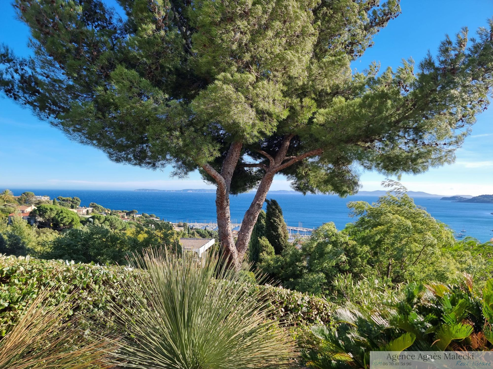 Image_3, Villa, Le Lavandou, ref :VVI40007911