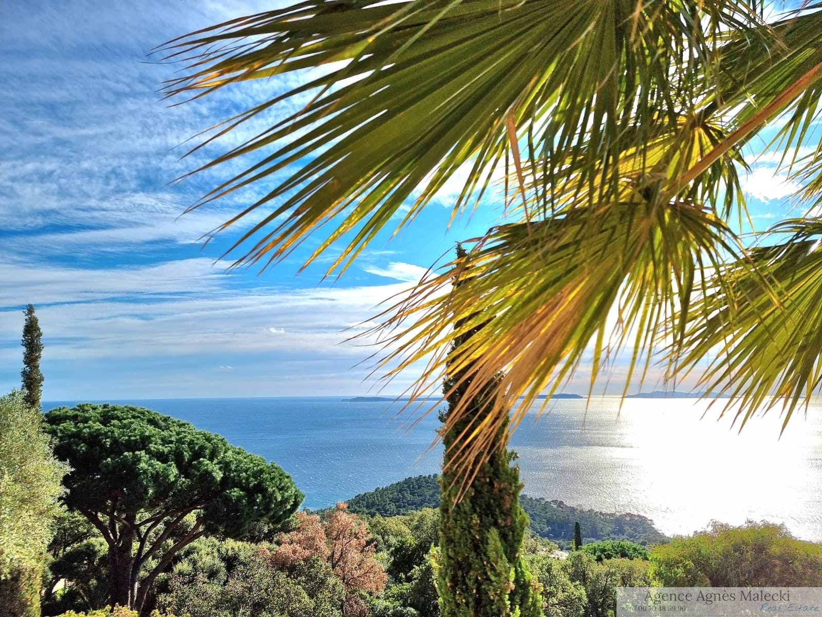 Image_1, Villa, Rayol-Canadel-sur-Mer, ref :VVI40007900