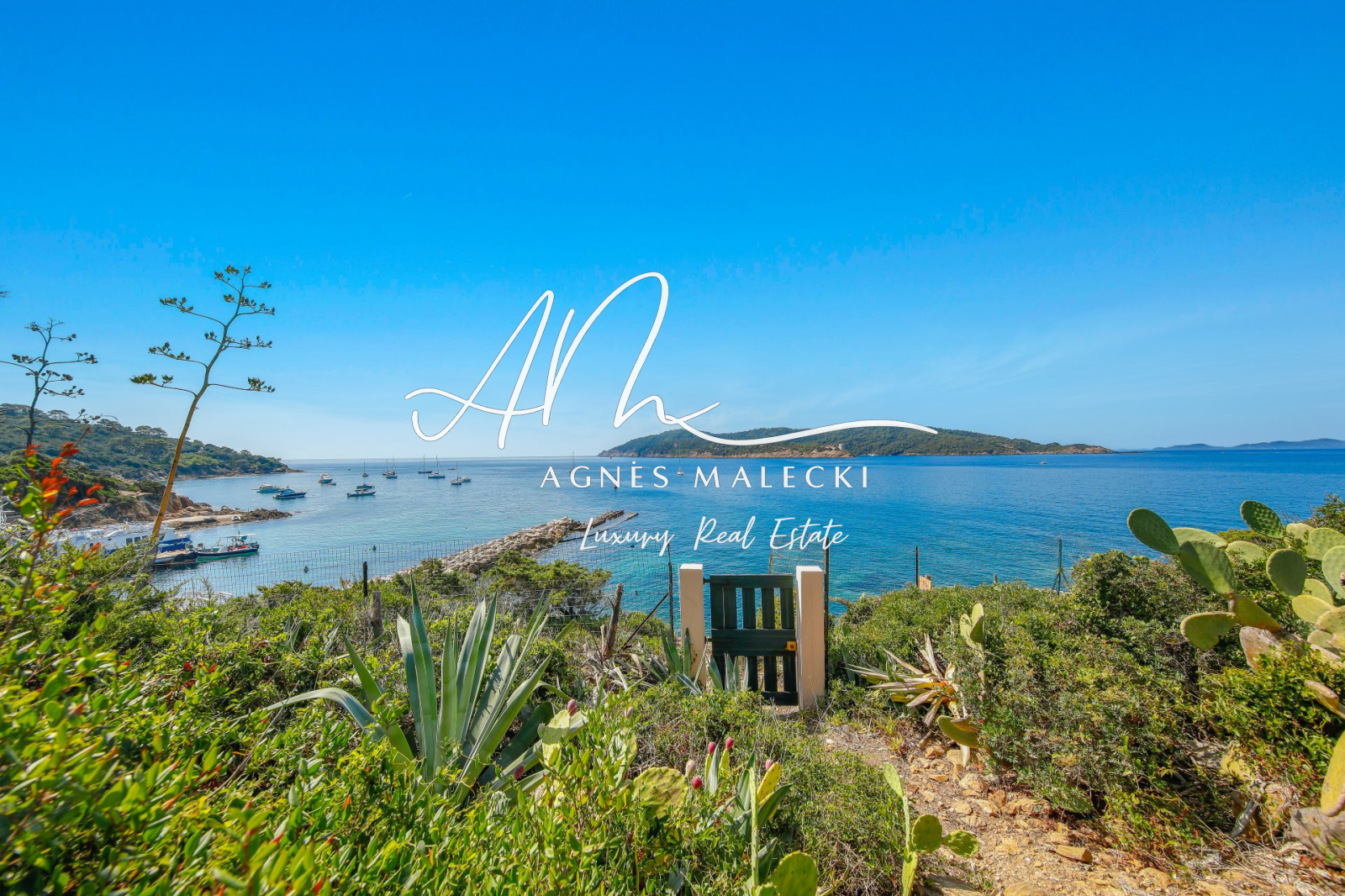 Image_10, Villa, Hyères, ref :VVI40008315