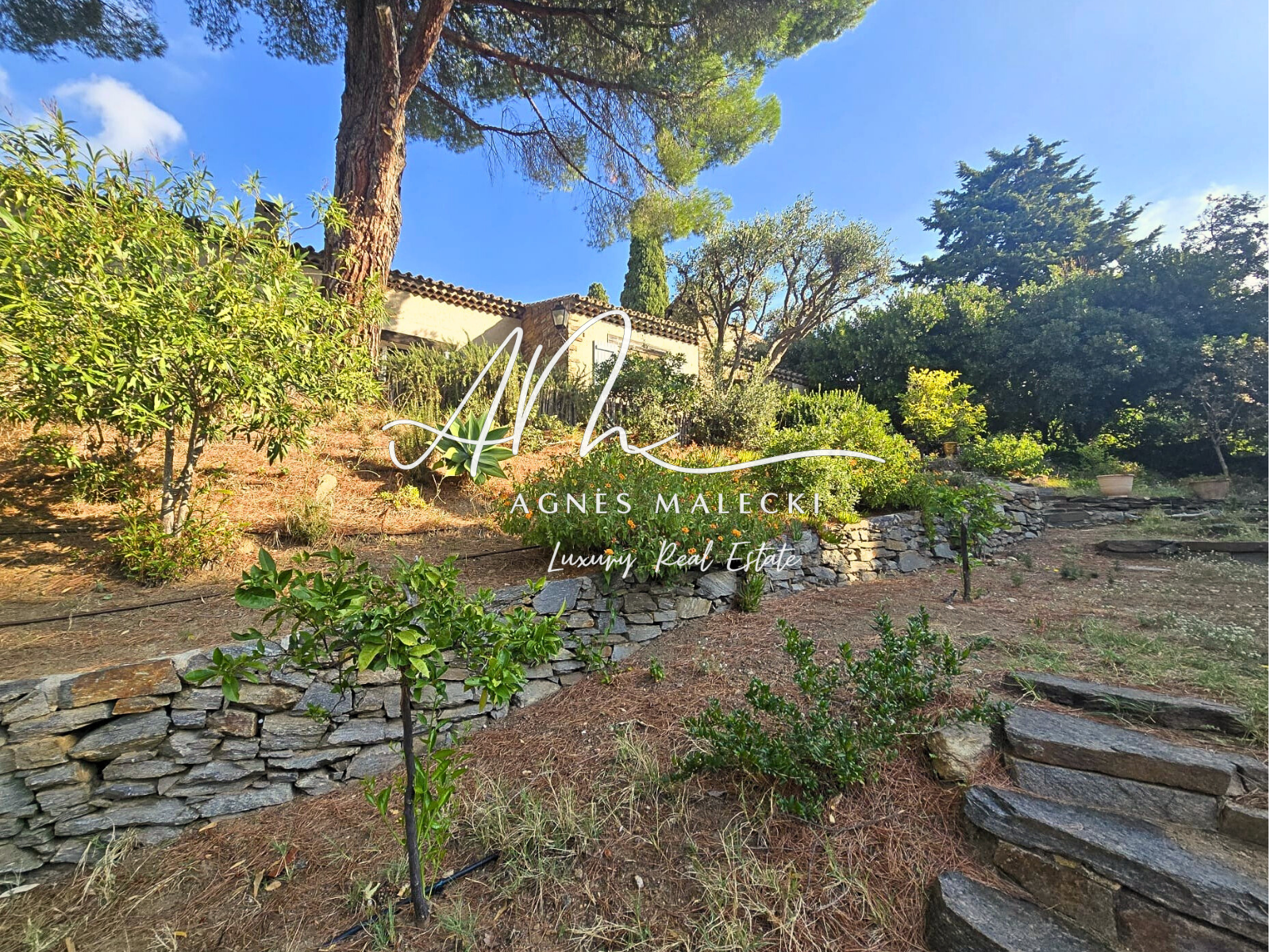 Image_4, Propriete, Le Lavandou, ref :VPR40008468