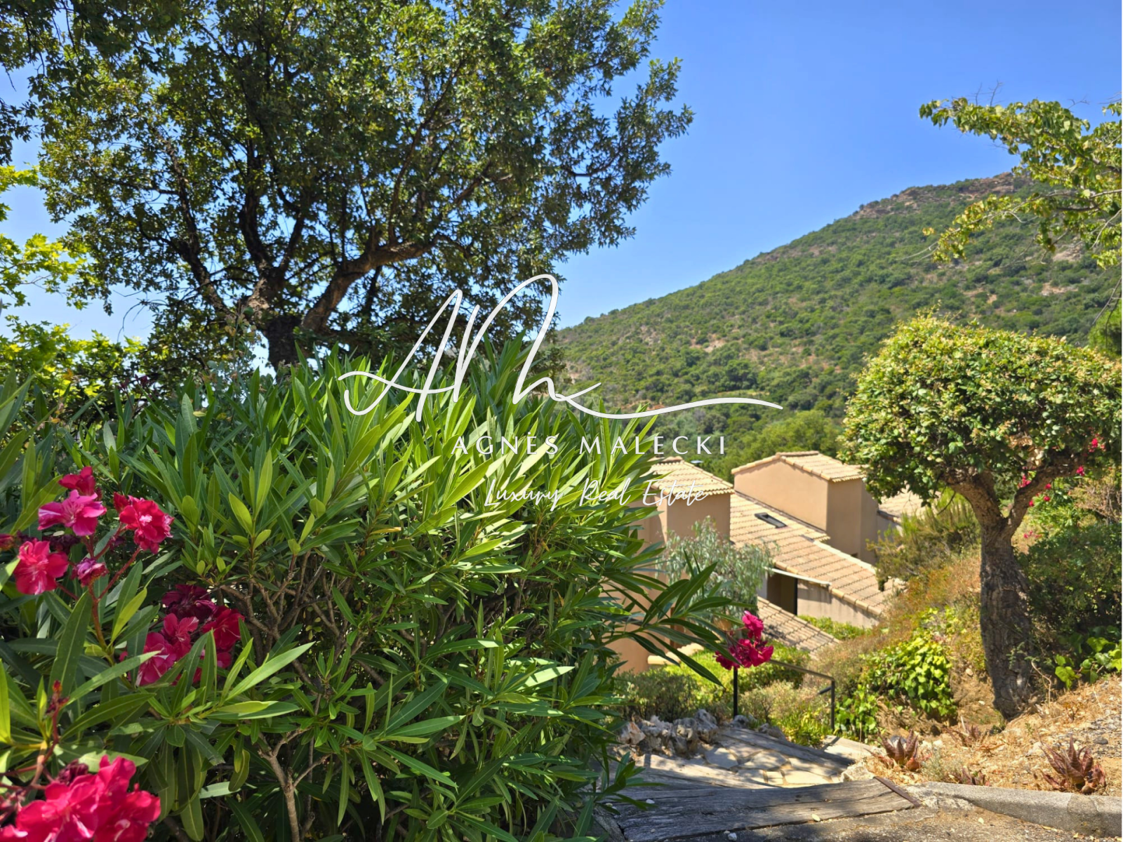 Image_4, Villa, Le Lavandou, ref :VVI40008654