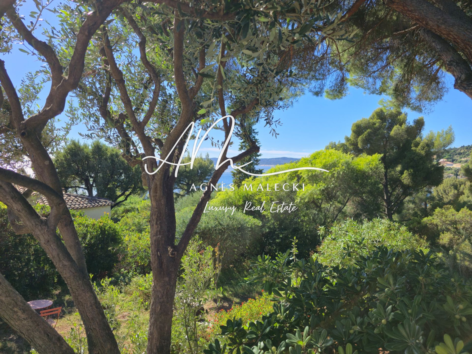 Image_25, Villa, Le Lavandou, ref :VVI40008598