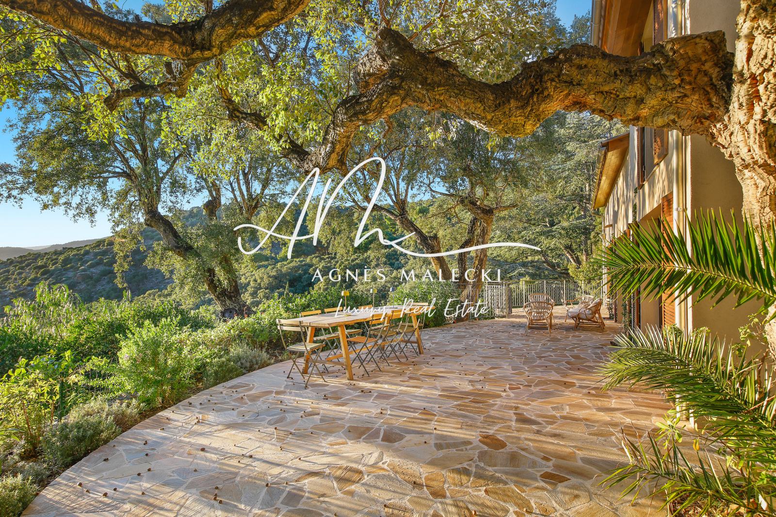 Image_5, Villa, Rayol-Canadel-sur-Mer, ref :VVI40008359