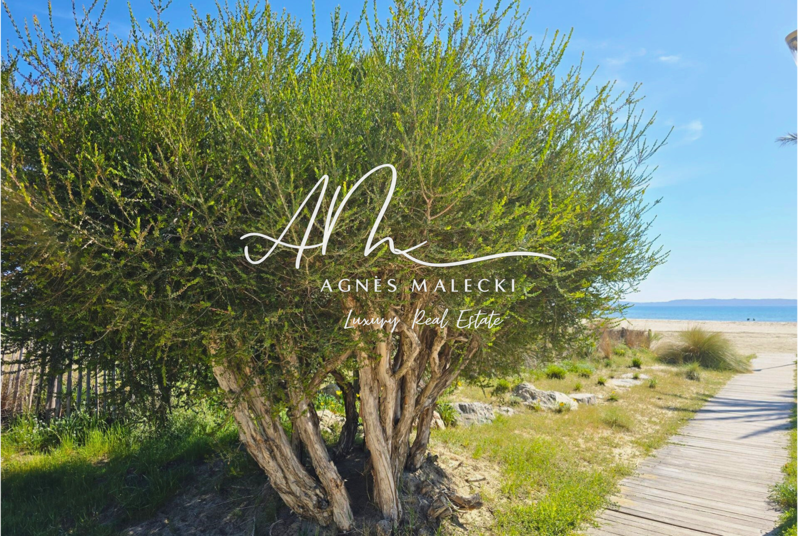 Image_1, Appartement, Bormes-les-Mimosas, ref :VAP40008232