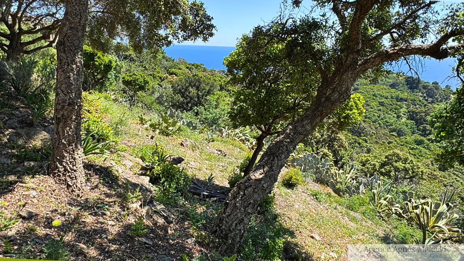Image_6, Terrain, Rayol-Canadel-sur-Mer, ref :VTE40007746