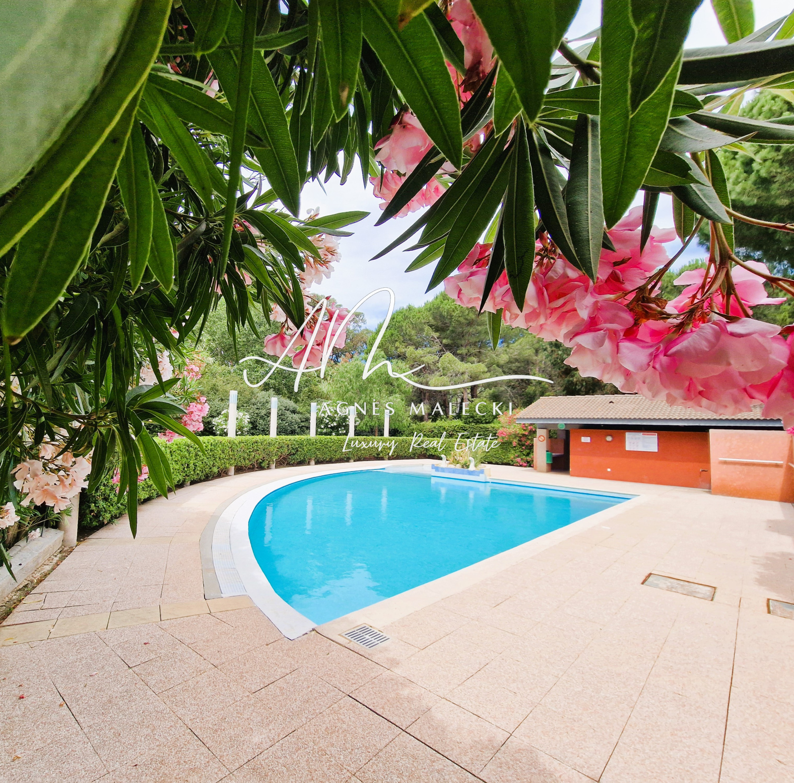 Image_3, Appartement, Le Lavandou, ref :VAP40008463