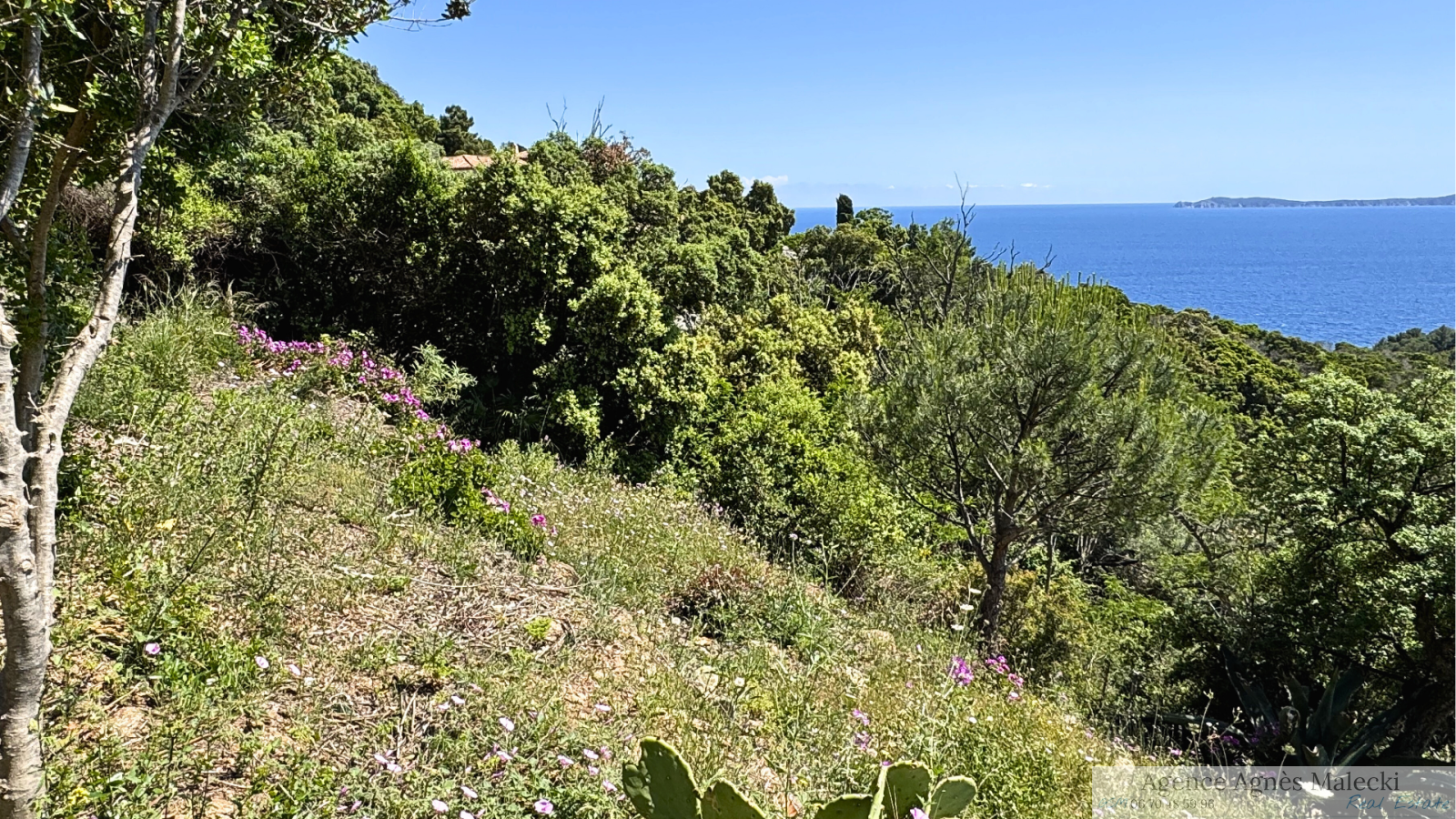 Image_3, Terrain, Rayol-Canadel-sur-Mer, ref :VTE40007799