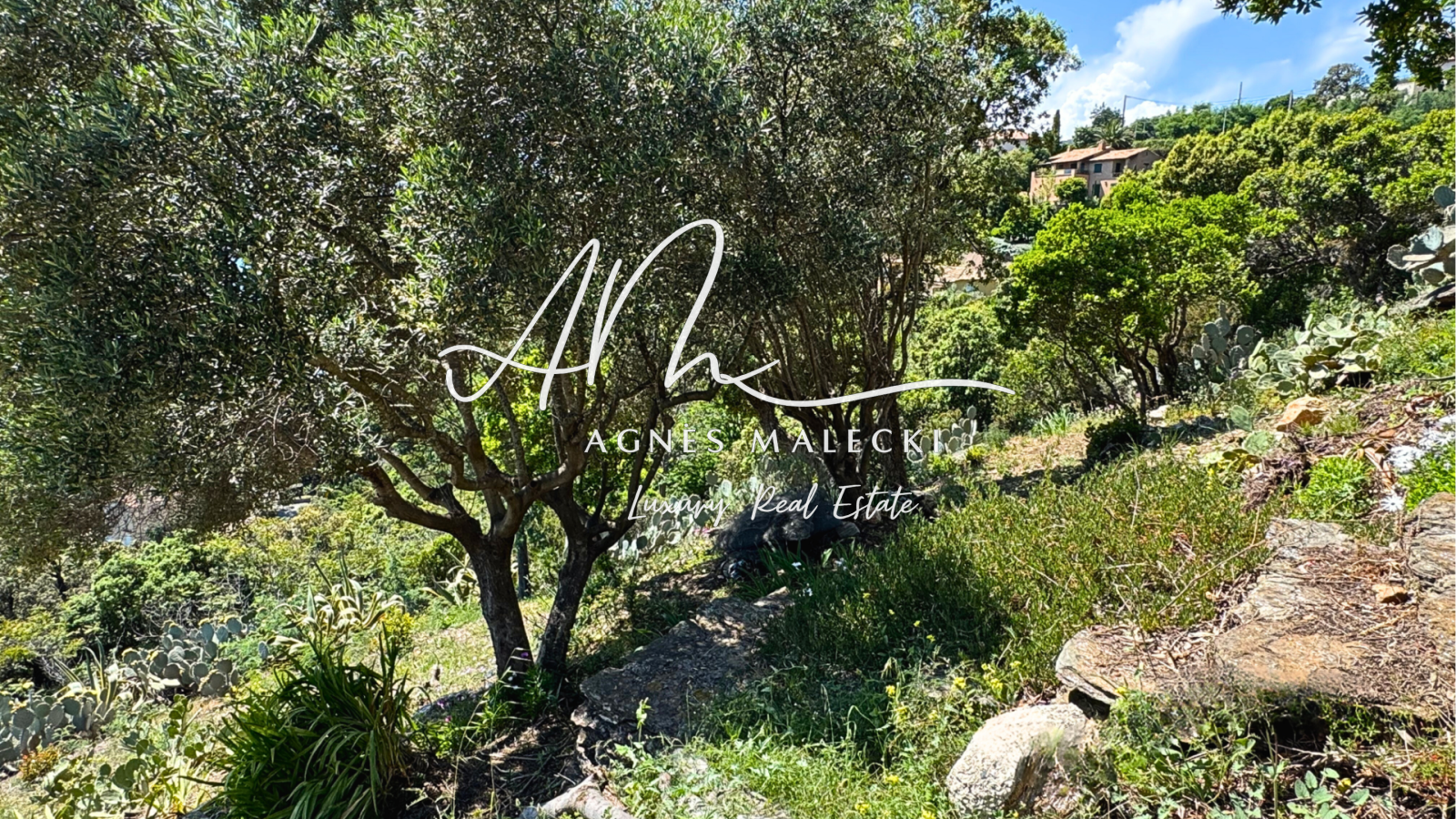 Image_7, Terrain, Rayol-Canadel-sur-Mer, ref :VTE40008177