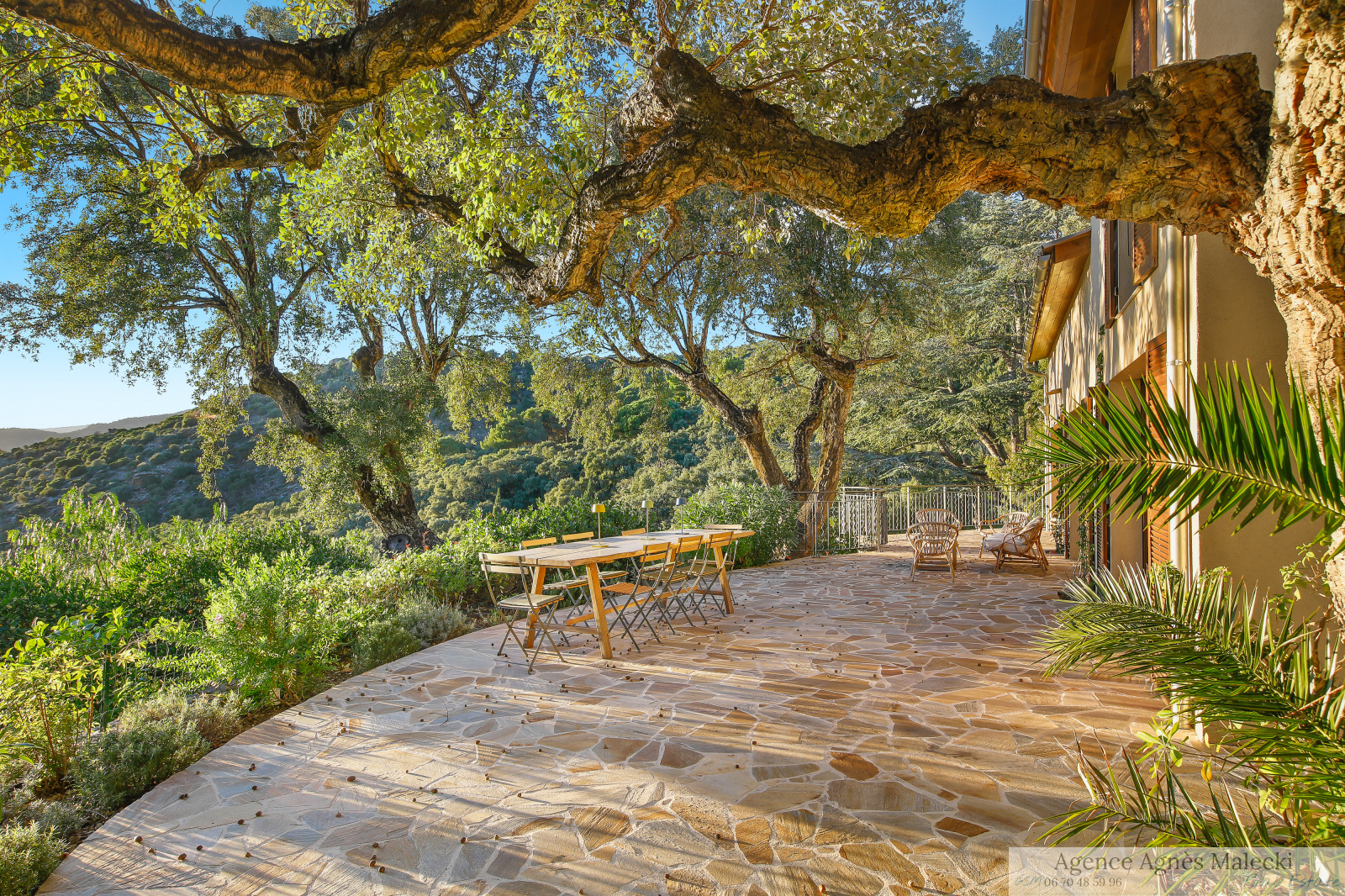 Image_7, Villa, Rayol-Canadel-sur-Mer, ref :VPR40007788