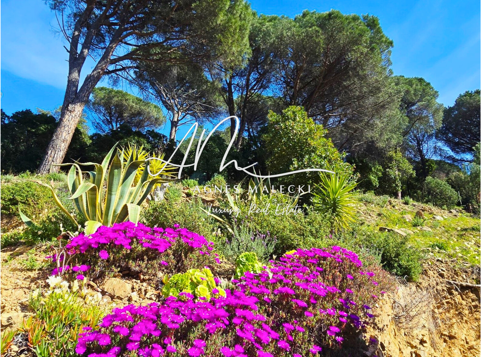Image_16, Propriete, Le Lavandou, ref :VPR40008458