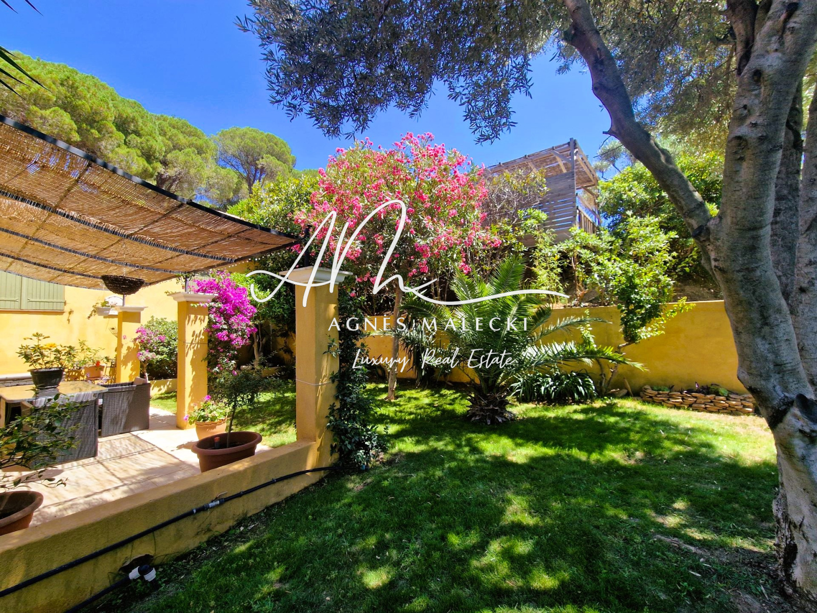 Image_2, Villa, Le Lavandou, ref :VVI40008721