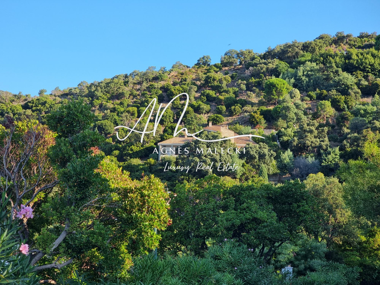 Image_1, Villa, Cavaliere, ref :VVI40008082