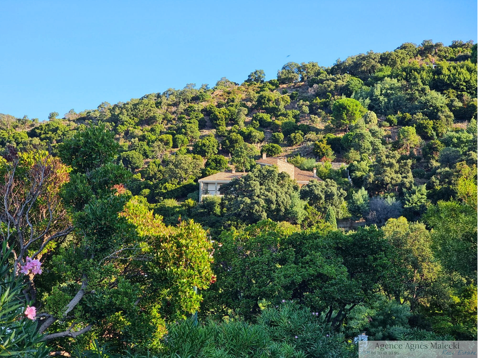 Image_4, Villa, Cavaliere, ref :VVI40007922