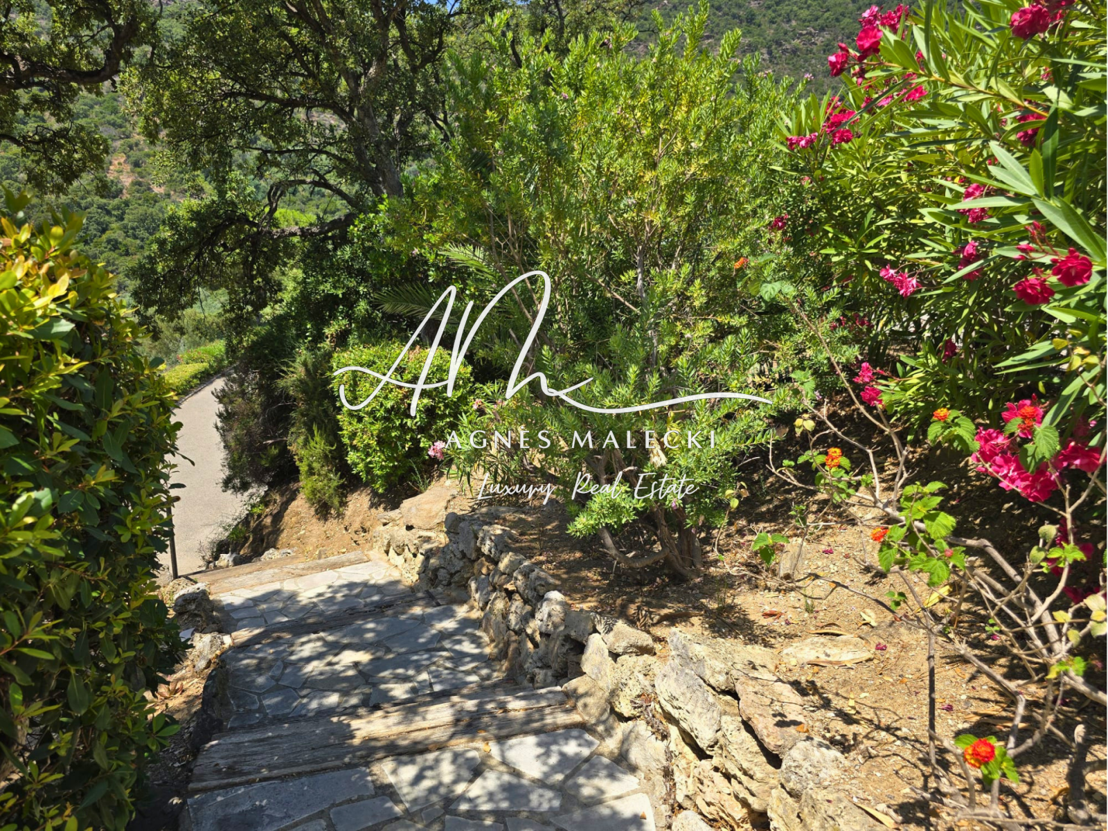 Image_14, Villa, Le Lavandou, ref :VVI40008634