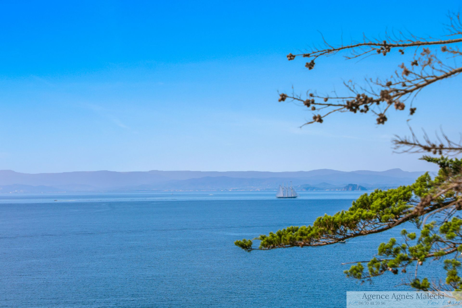 Image_9, Villa, Hyères, ref :VVI40007860