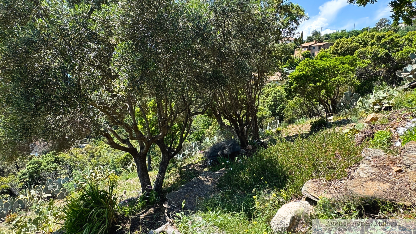 Image_7, Terrain, Rayol-Canadel-sur-Mer, ref :VTE40007708