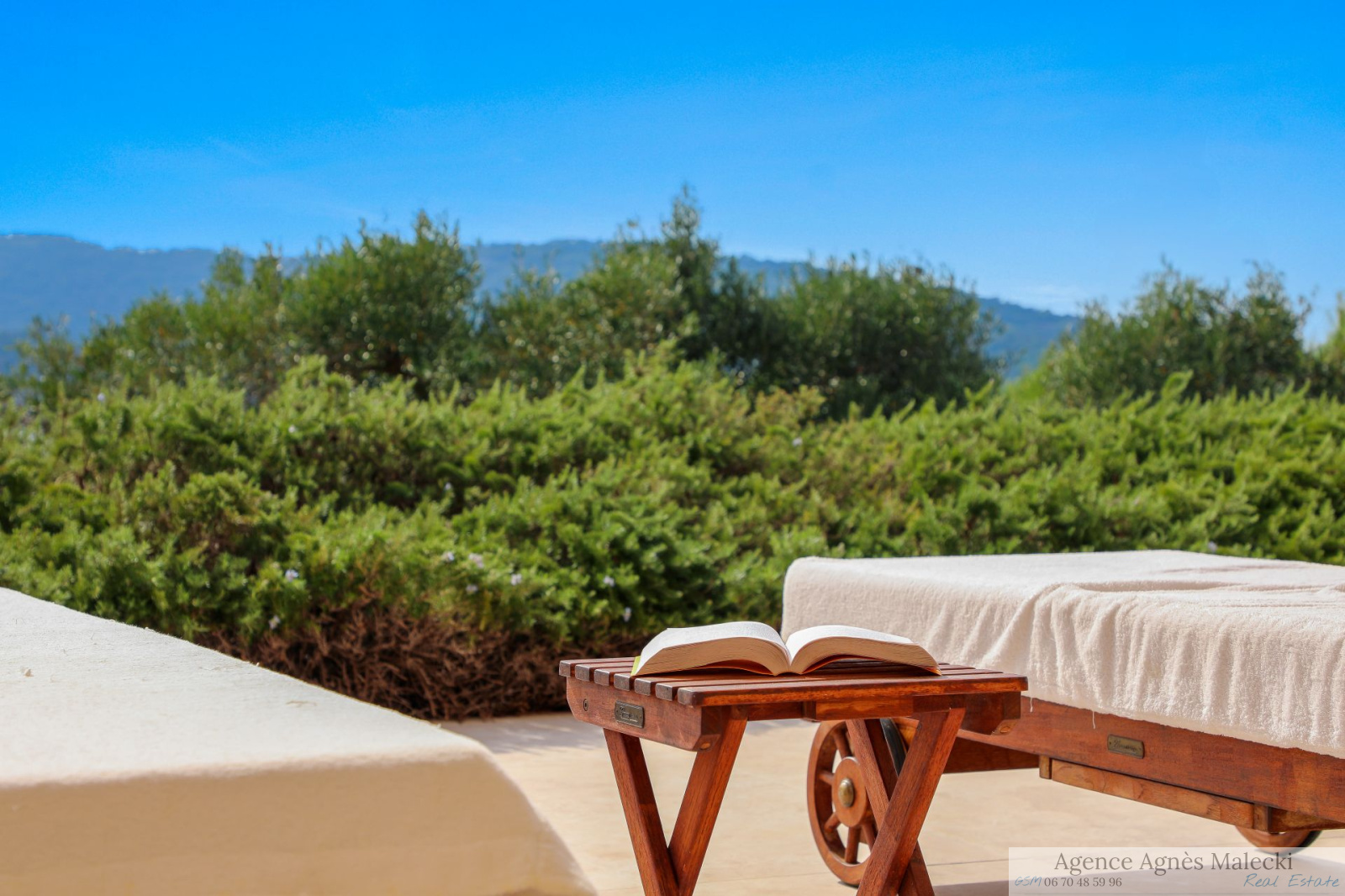 Image_26, Villa, Hyères, ref :VVI40007733