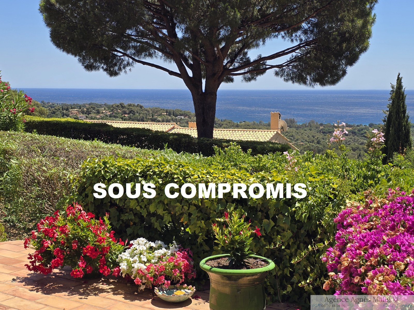 Image_2, Villa, La Croix-Valmer, ref :V110007311