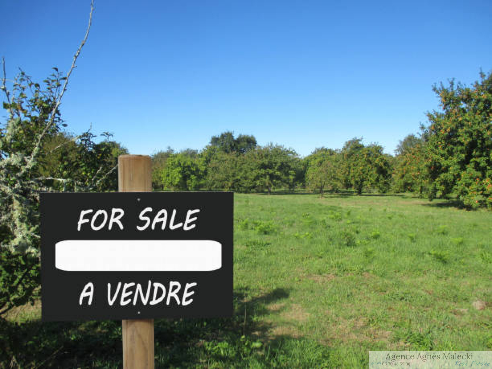 Image_1, Terrain, Cavalaire-sur-Mer, ref :V110007446