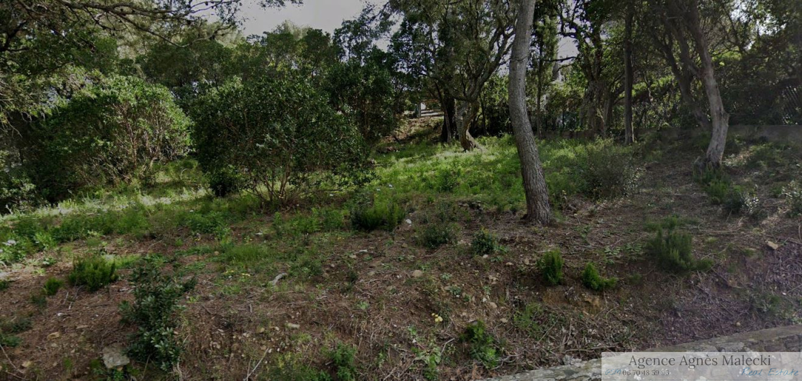 Image_2, Terrain, Cavalaire-sur-Mer, ref :V110007446