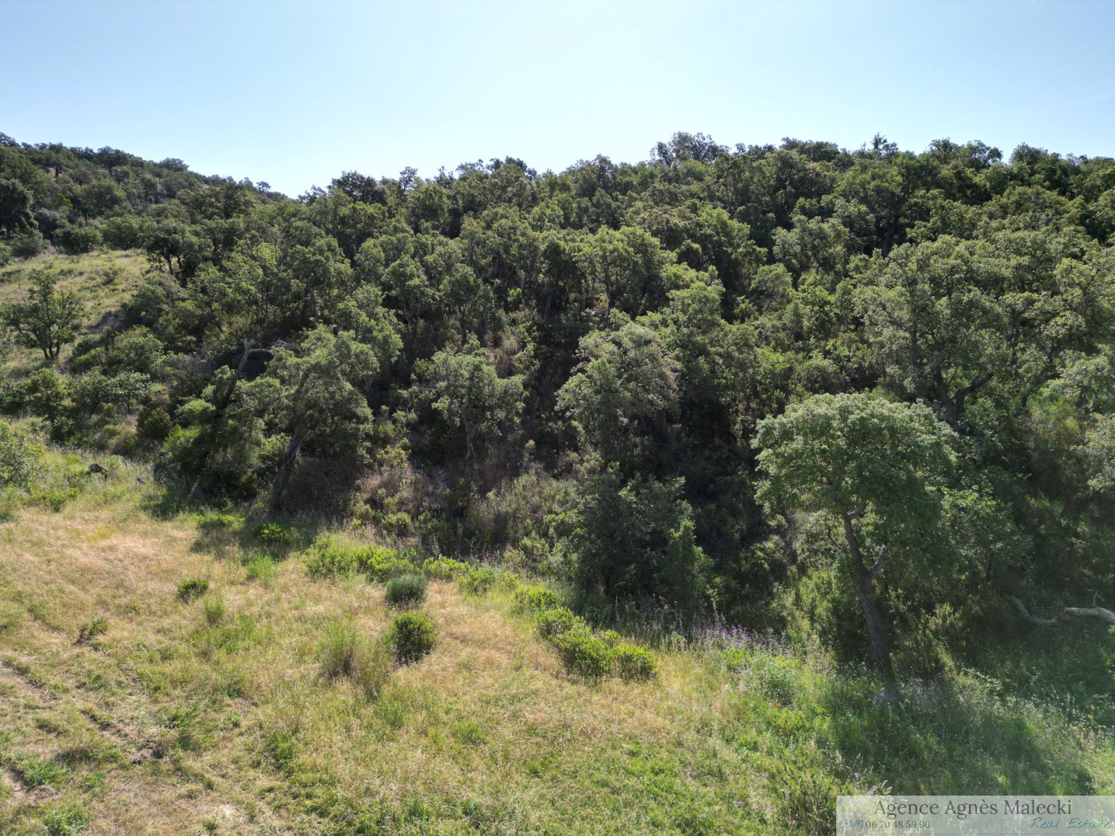 Image_2, Terrain, Grimaud, ref :V110007163
